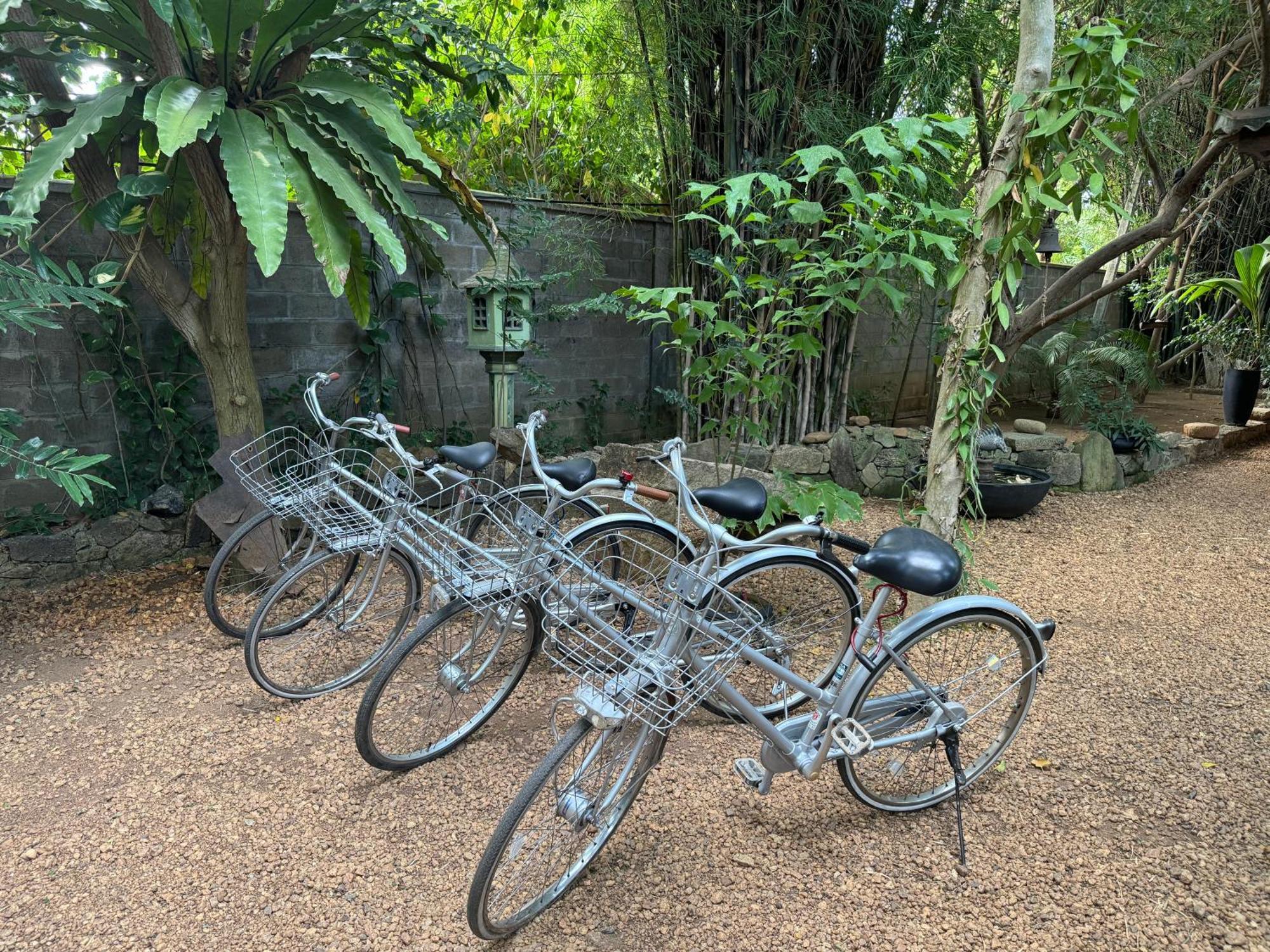 绿色边缘住宿加早餐旅馆 丹不拉 外观 照片